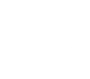 nintendo-icon