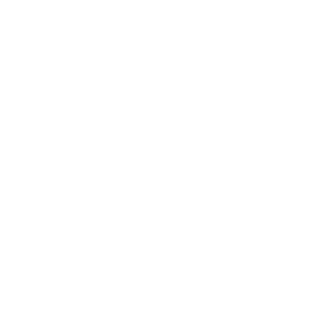 sega-icon