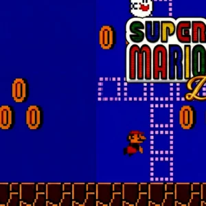NEW SUPER MARIO BROS. WII