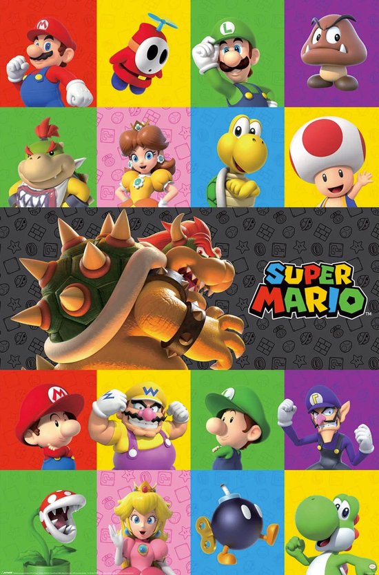 NEW SUPER MARIO BROS. WII